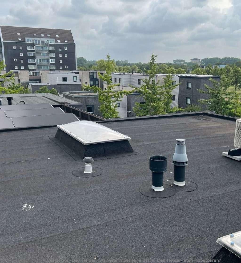 Dak Laten Inspecteren Den Helder