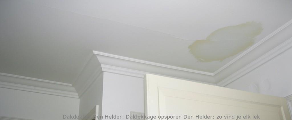 Daklekkage Opsporen Den Helder