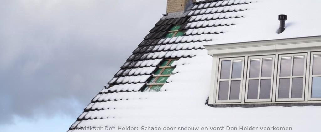 Schade Door Sneeuw En Vorst Den Helder
