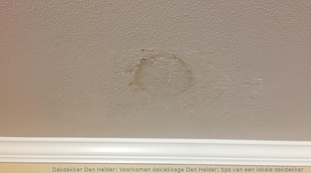 Voorkomen Daklekkage Den Helder